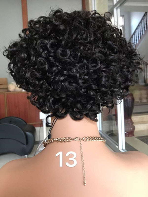 LWIGSINC Human Hair 8 Inch 150% Density Loose Curly 13x4 Korean HD Lace Front Wigs AY-8