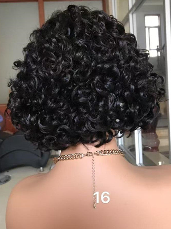LWIGSINC Side Part 12 Inch 150% Density Human Hair Loose Curly T-Part Lace Wigs AY-10